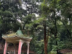 -南华禅寺