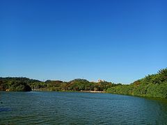 -番禺大夫山森林公园