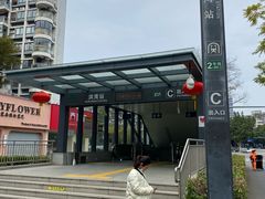 -金山公园