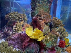 -上海海洋水族馆