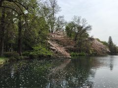 iphone_upload_pic-井之头恩赐公园