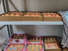 -南汇新场正宗水蜜桃采摘