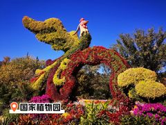 -国家植物园