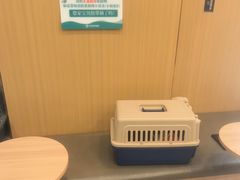 -小伙伴宠物医院•急重症转诊中心·老年专科·犬猫全科(北大街总院)