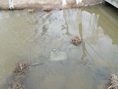 -西安浐灞国家湿地公园