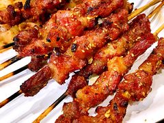 -金刚山烧烤(红旗大街店)