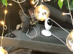 -共舞时光猫咖·狗咖(新街口店)