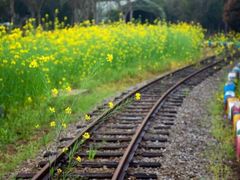 -武汉紫薇都市田园