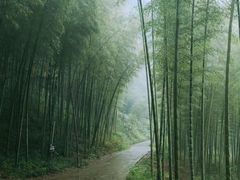 -水墨汀溪风景区