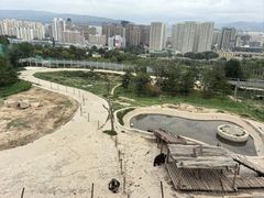 -青藏高原野生动物园