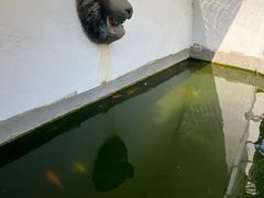 -上海市工艺美术博物馆