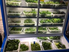 -黔府豆米火锅野菜馆(南马店)