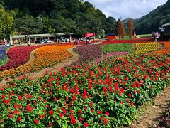 -广州市石门国家森林公园