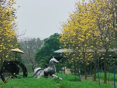 -天适樱花悠乐园