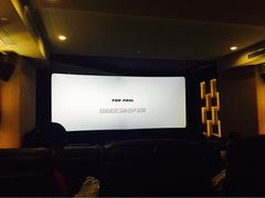 兰生典尚影院-中影国际影城(兰生大厦CINITY LED店)