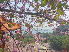 -南沙天后宫景区
