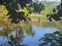 -呀诺达热带雨林