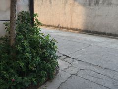 -溪口-滕头旅游景区