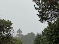 -苏州环秀晓筑养生度假村