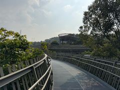 -福道