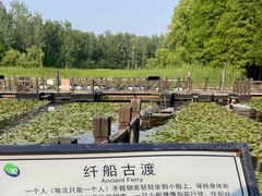 -溱湖国家湿地公园