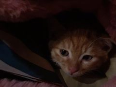 饭饭式white&nbsp;eyes-星巴克臻选(嘉兴海宁银泰城店)