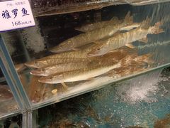 -胖姐渔村(中源大道店)