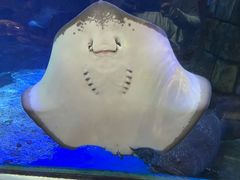 -合肥海洋世界