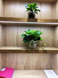 -苑苑vbeauty科技美容SPA