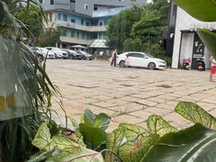 -蓝山四季西餐植物店