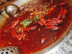 -大龙燚火锅(科华店)