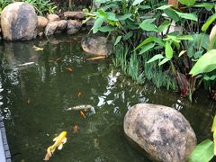 -西双版纳洲际度假酒店-海鲜傣味烧烤·侬香全日制餐厅