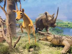 -国家自然博物馆