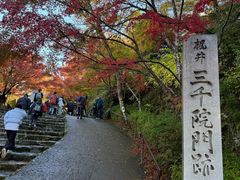 -三千院