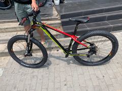 -道路口单车爱瓦士dahon大行