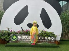 -都江堰中华大熊猫苑