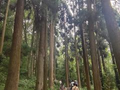 -青城山