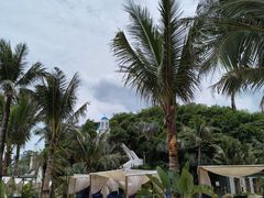 -精酿农场Brew Farm·沙漠绿洲餐厅