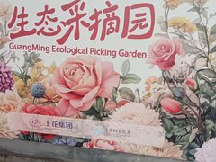 -上海鲜花港