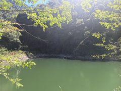 -芦茨金富饭庄·25年老字号·专做稻草鸡