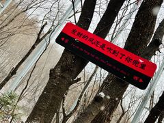 -帽儿山风景区