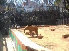 -昆明动物园