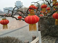 -西清公园