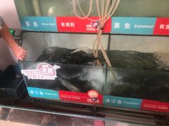 -鱼酷活鱼烤鱼(信息城店)