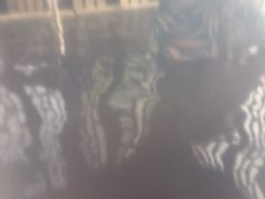 -裕龙汤泉