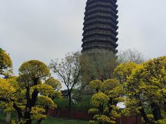 -西海子公园