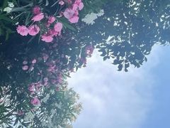-南汇新城海滩