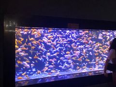 -成都浩海立方海洋公园