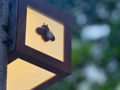 -LilBee Coffee