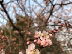 -灞河西岸滨河公园